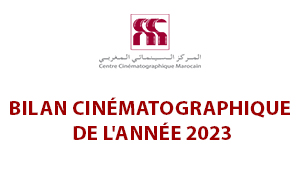 BILAN CINÉMATOGRAPHIQUE DE L'ANNÉE 2023